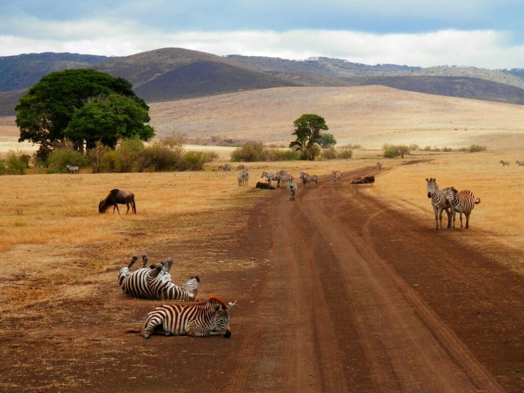 Tanzania: Safaris with a Conscience